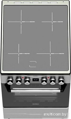 Кухонная плита Darina PLS ECI241 616 1S