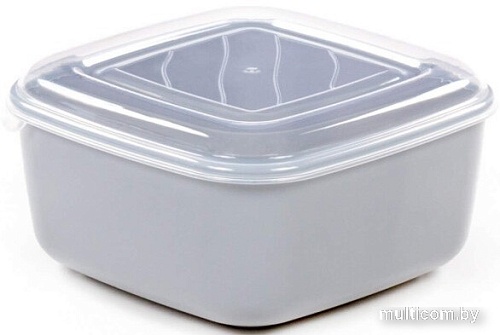 Контейнер Полесье №37 (дымчатый)