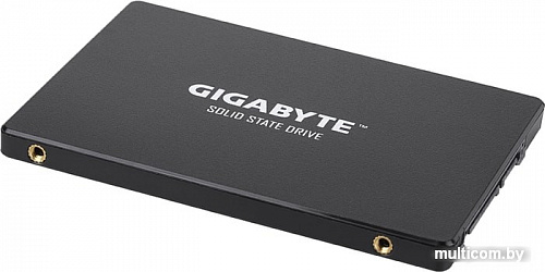 SSD Gigabyte 1TB GP-GSTFS31100TNTD