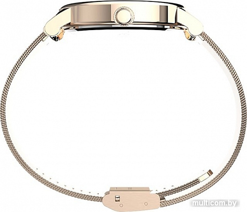 Наручные часы Timex Full Bloom TW2U19500