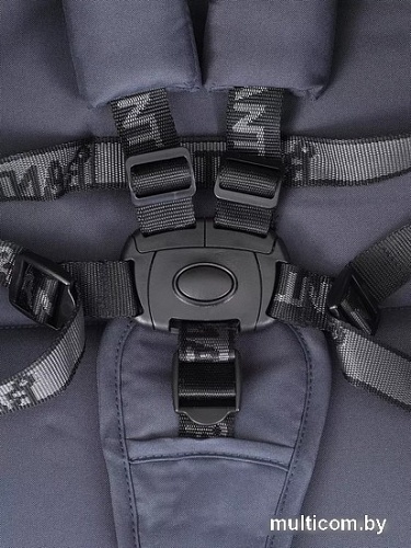 Коляска прогулочная «книга» Rant Kira Basic RA090 (серый)