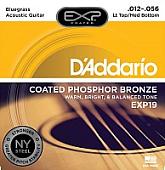 Струны для гитары D'Addario EXP-19