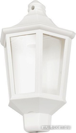 Уличный настенный светильник ЭРА НБУ 06-60-003 Ника Б0061161