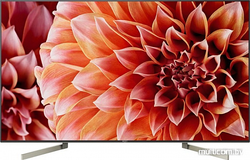 Телевизор Sony KD-75XF9005