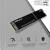 SSD PNY CS900 250GB M280CS900-250-RB