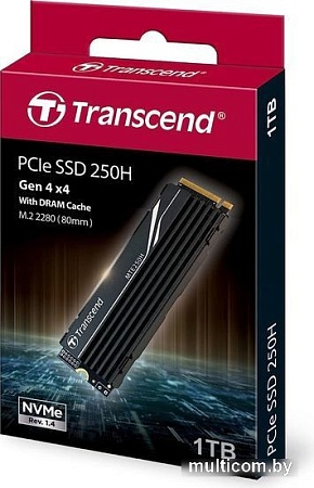 SSD Transcend 250H 1TB TS1TMTE250H