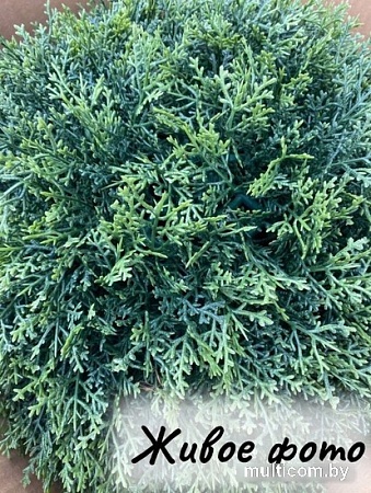 Искусственное растение Merry Bear Home Decor Туя шаровидная KDA0255