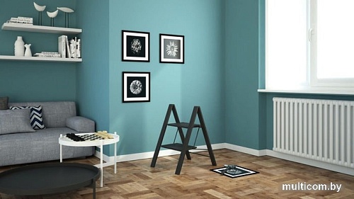 Лестница-стремянка Colombo Leonardo 2 G300A02W (2 ступени, черный)