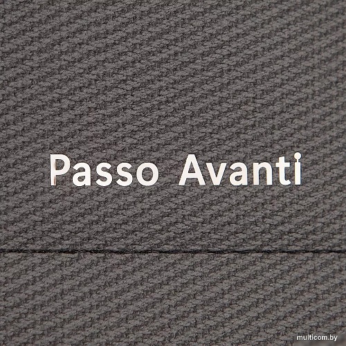 Passo Avanti 758-96885-BLK (черный)