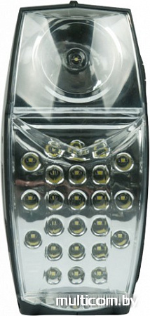 Радиоприемник Ritmix RPR-555