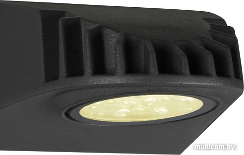 Уличный настенный светильник Favourite Versus 3029-1W