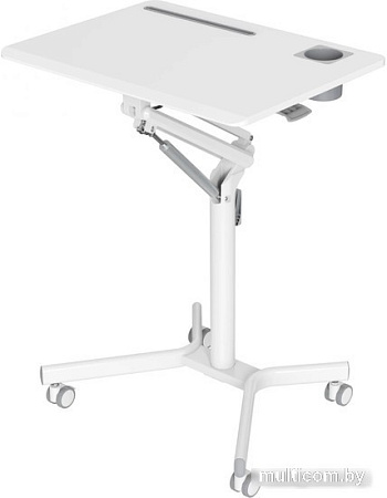 CACTUS CS-FDS101WWT