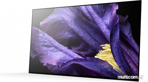 Телевизор Sony KD-65AF9