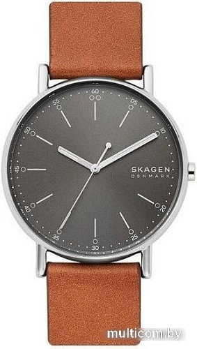 Наручные часы Skagen SKW6578