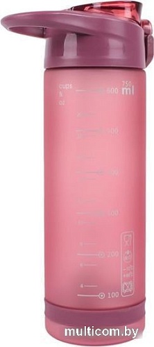 Бутылка для воды Darvish DV-H-1605-2 750мл (розовый)
