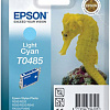 Картридж Epson EPT04854010 (C13T04854010)