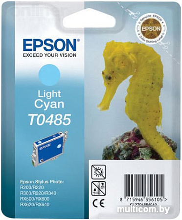 Картридж Epson EPT04854010 (C13T04854010)