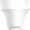 Светодиодная лампочка SmartBuy A60 E27 20Вт 6000К SBL-A60-20-60K-E27