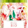 Only Bio Гель для душа Art &amp; Natural Нежность кожи Барх. пион и масло розы (290 мл)