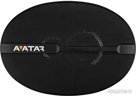 Коаксиальная АС Avatar XBR-6913