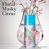 Парфюмерия Elizabeth Arden Green Tea Sakura Blossom EdT (50 мл)