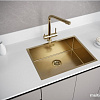 Кухонная мойка Paulmark PM215844-BG