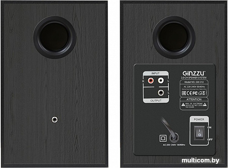 Акустика Ginzzu GM-312