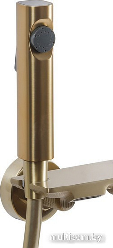 Душевая система Maxonor Pure Life PL2495-6