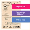Набор бумаги для рисования BRAUBERG Art Classic 112486 (100 л)