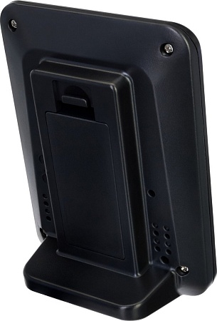 Электронный термометр Levenhuk Wezzer BASE L50