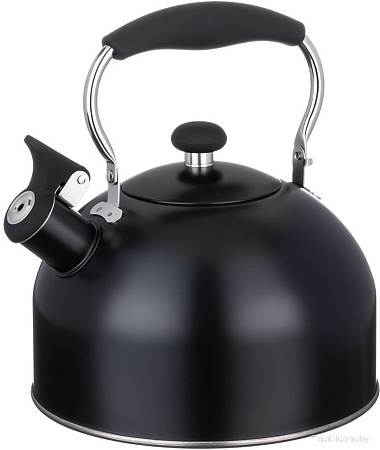 Чайник со свистком Agness Teekessel 937-907