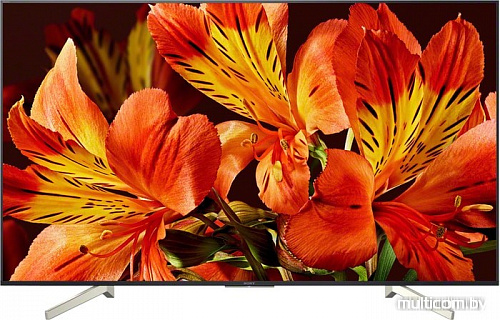 Телевизор Sony KD-85XF8596