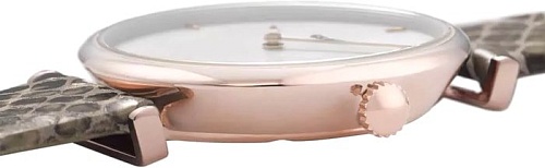 Наручные часы Cluse Triomphe CL61007