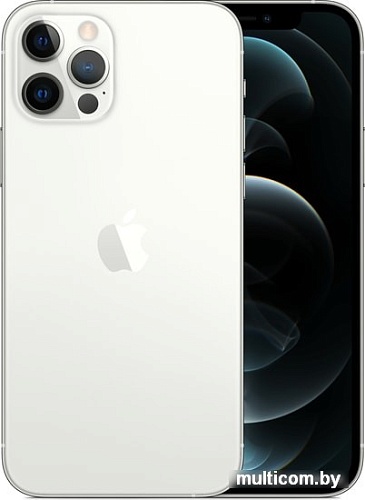 Смартфон Apple iPhone 12 Pro 128GB (серебристый)