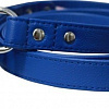 Angel Pet Alpine 40028/AG (голубой)