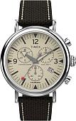 Наручные часы Timex TW2V43800