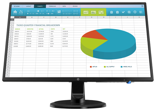 Монитор HP N246v