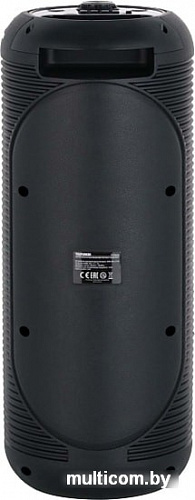 Колонка для вечеринок TELEFUNKEN TF-PS2205