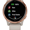 Умные часы Garmin Venu (песочный/золотистый)