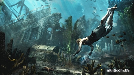 Игра Хиты Playstation Assassin's Creed IV Black Flag для PlayStation 4