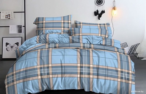 Бояртекс № 2022-428 (И) (N) 2.0 с европростыней (полисатин)