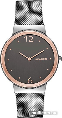 Наручные часы Skagen SKW2382
