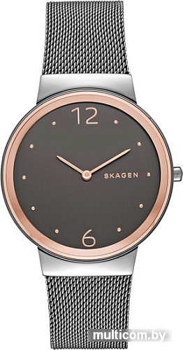 Наручные часы Skagen SKW2382