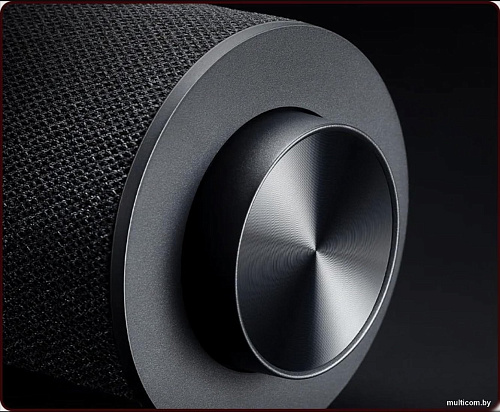 Акустика Xiaomi Desktop Speaker ASB02G (международная версия)