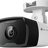 IP-камера TP-Link Vigi C320I (2.8 мм)