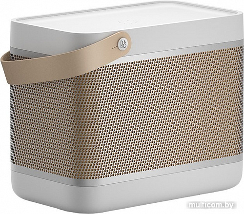 Беспроводная колонка Bang & Olufsen Beolit 20 (серый)