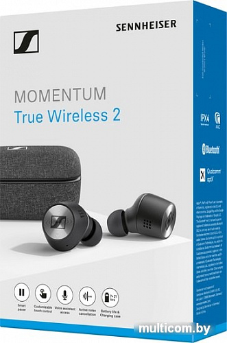 Наушники Sennheiser Momentum True Wireless 2 (черный)