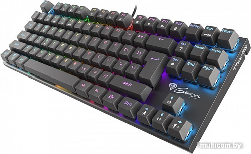 Клавиатура Genesis Thor 300 TKL RGB