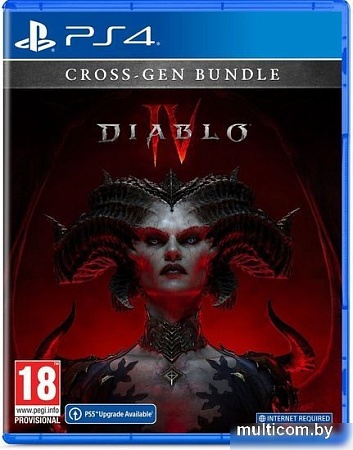 Diablo IV для PlayStation 4