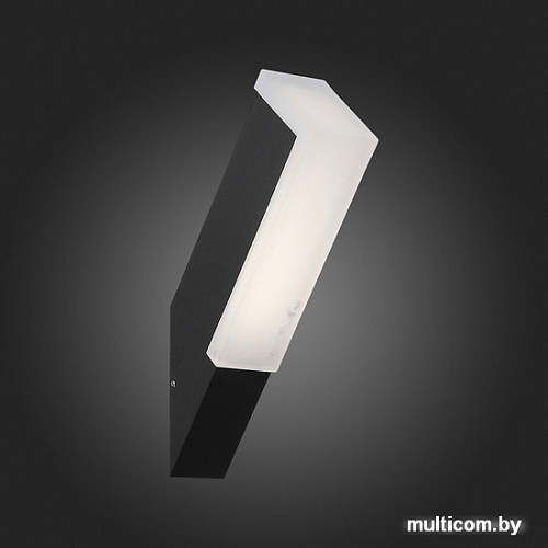 Уличный фонарь ST Luce Posto SL096.411.02